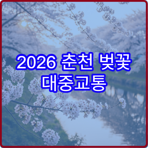 2026 춘천 벚꽃 대중교통 춘천역에서 부귀리 30분 가이드