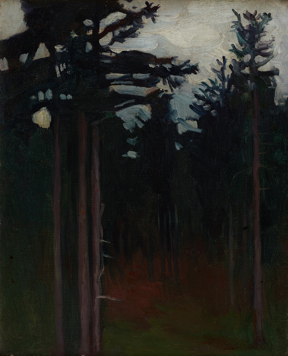 Inside the Forest 1904 1908