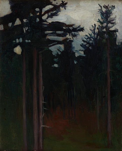 Inside the Forest 1904 1908