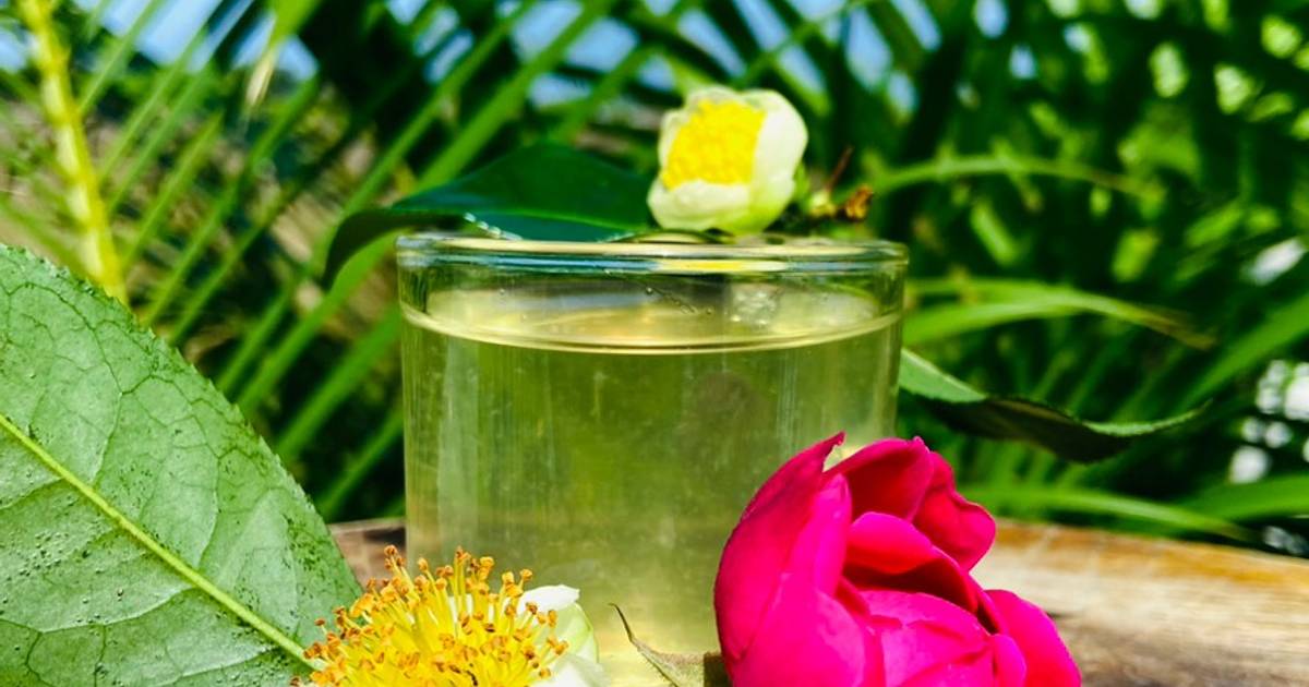 Nước trà xanh không độ