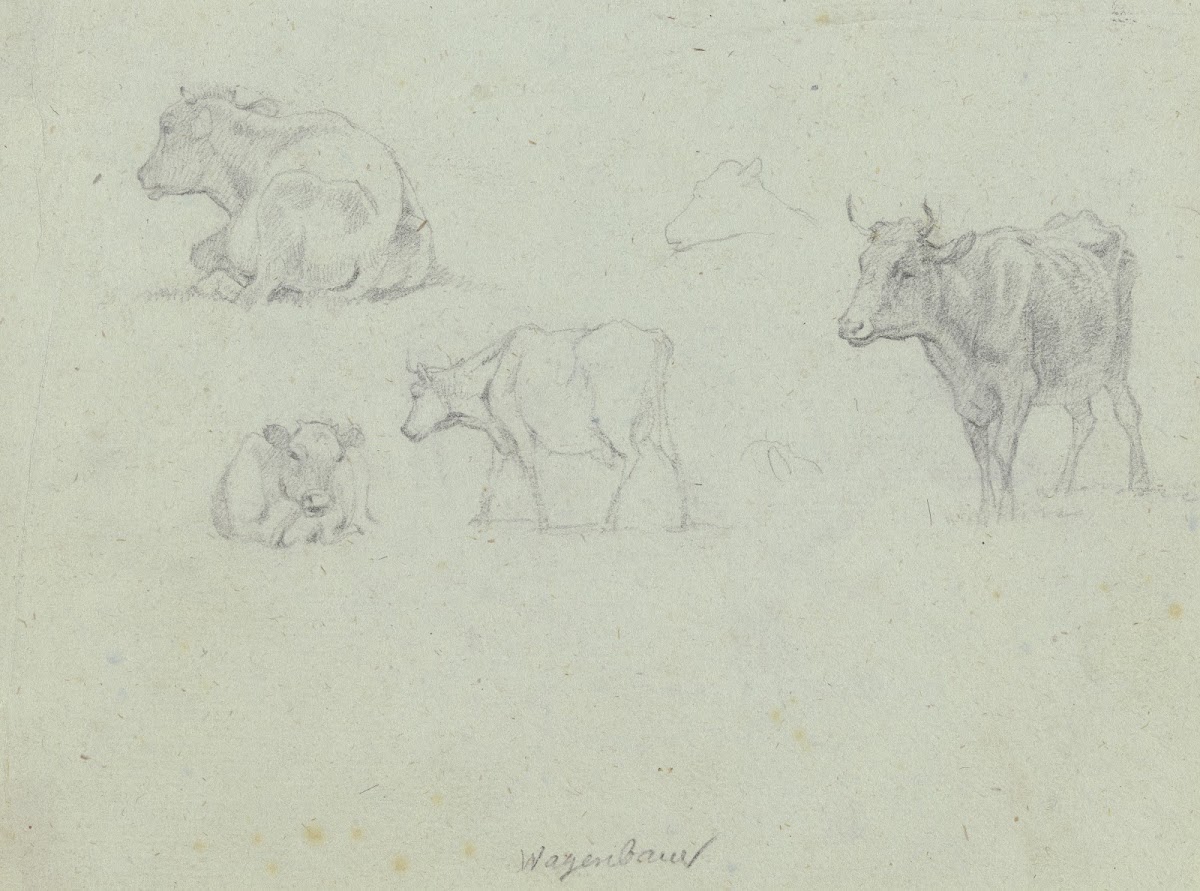 Four cattle