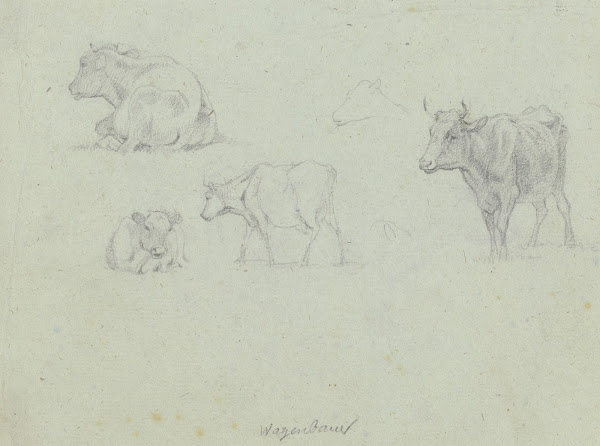 Four cattle