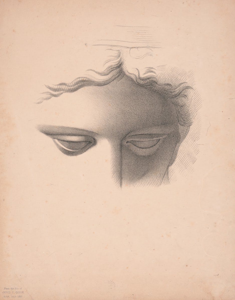 Apollo Belvidere study showing the forehead eyes and bridge of nose 1840 1860