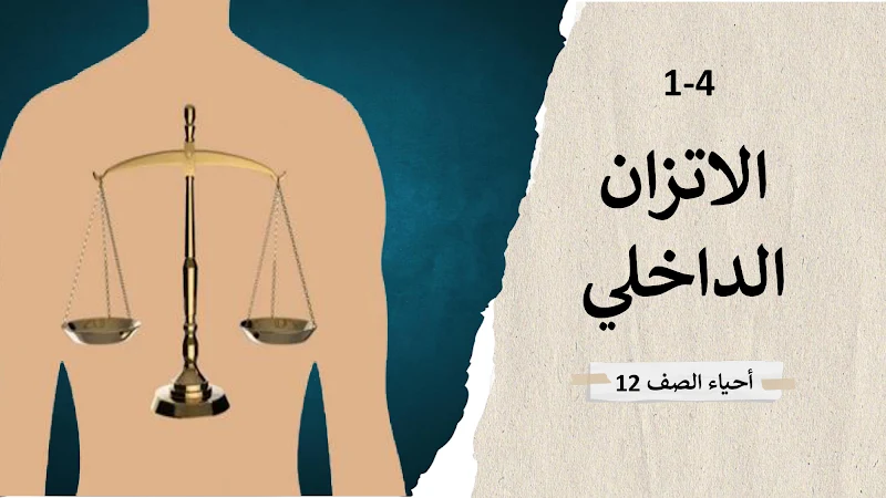 صورة الغلاف