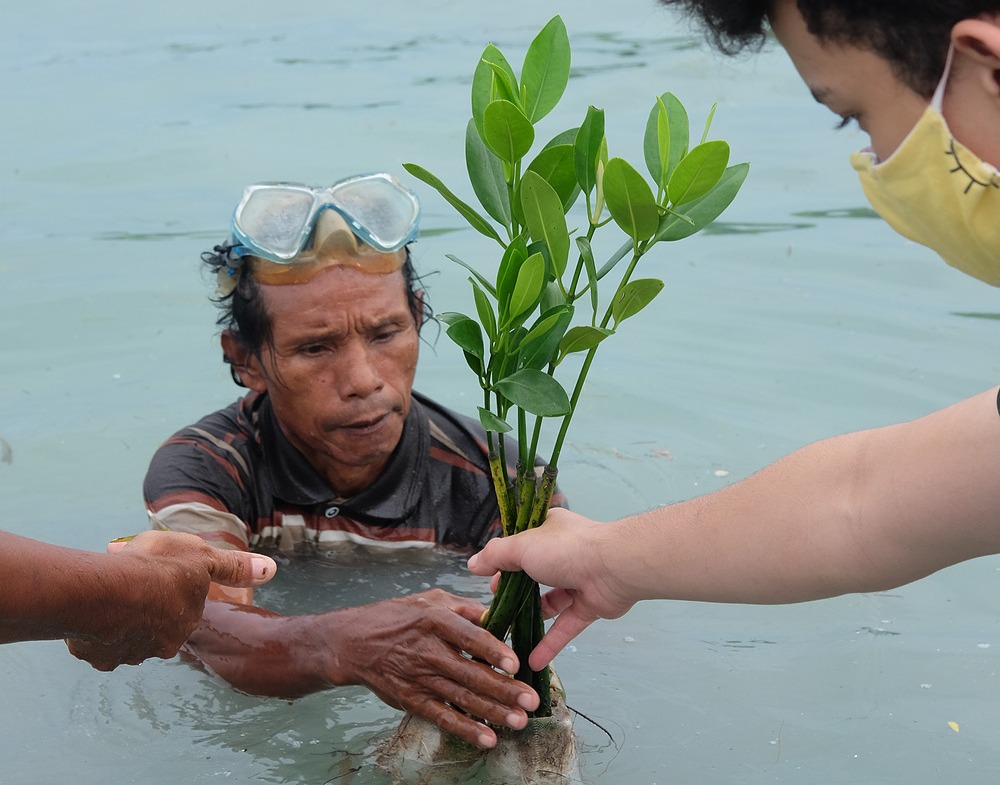 Eco friendly activities, Marine conservation activities holiday, Wildlife conservation activities holiday, sustainable activities holiday. CarbonEthics Indonesia