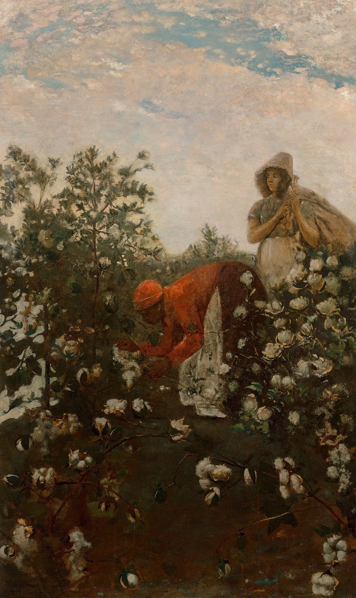 Upland Cotton 1879 1895