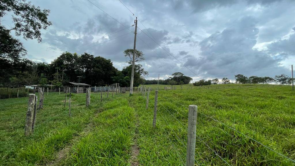 Chácara em Piracanjuba - GO 3