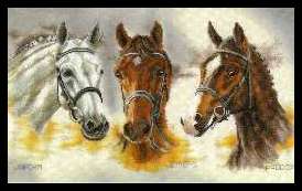 LAN34768 Drie Paarden