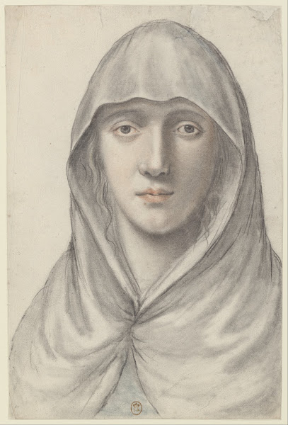 Jeune femme portant un voile vue de face