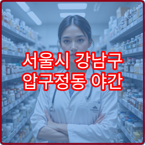 서울시 강남구 압구정동 야간 영업 약국 심야에도 이용 가능한 곳