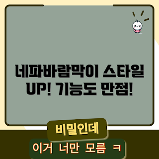 네파바람막이자켓, 바람막이 자켓, 아웃도어 패션, 기능성 자켓, 스타일 가이드