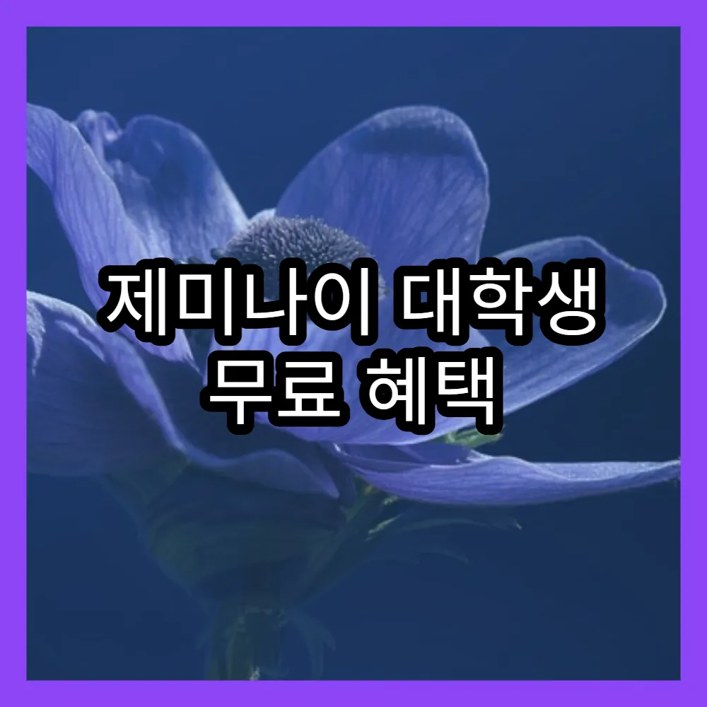 제미나이 대학생 무료 혜택 최신 정보 구글 인증 방법