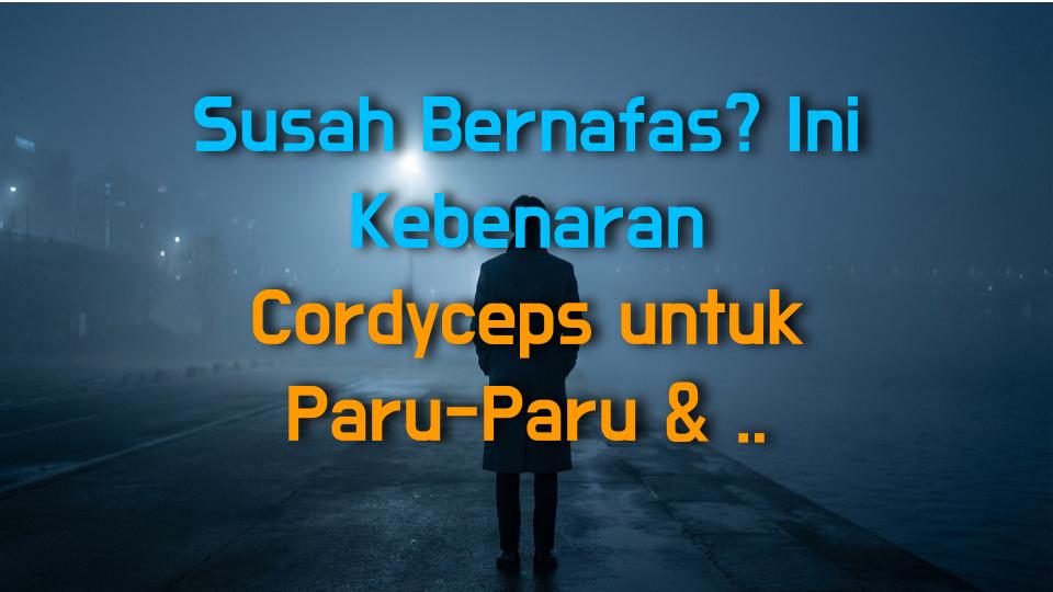 Susah Bernafas? Ini Kebenaran Cordyceps untuk Paru-Paru & Buah Pinggang!
