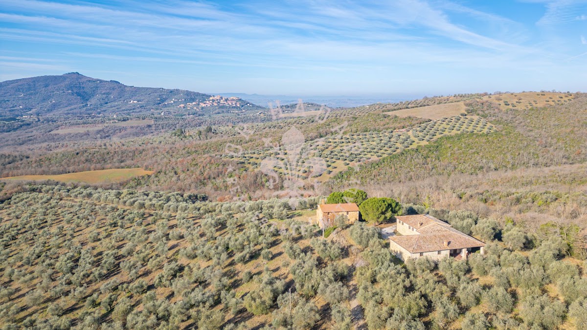 הפוג'יו דגלי אוליבי (Il Poggio degli Ulivi) — 4