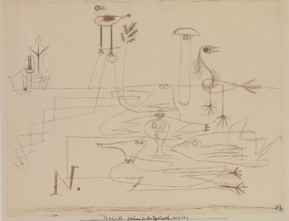 Drawing For Bird Islands 1921