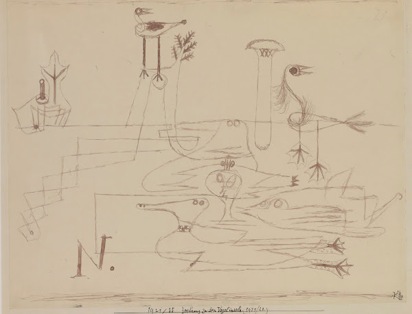 Drawing For Bird Islands 1921