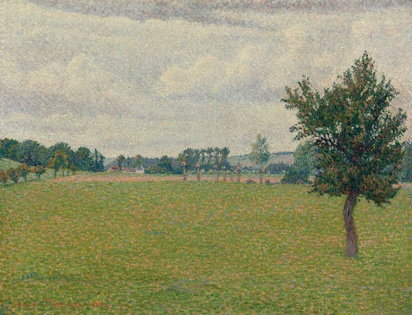 Prairie De Thierceville 1888