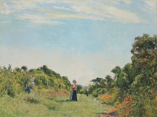 Summer Morning