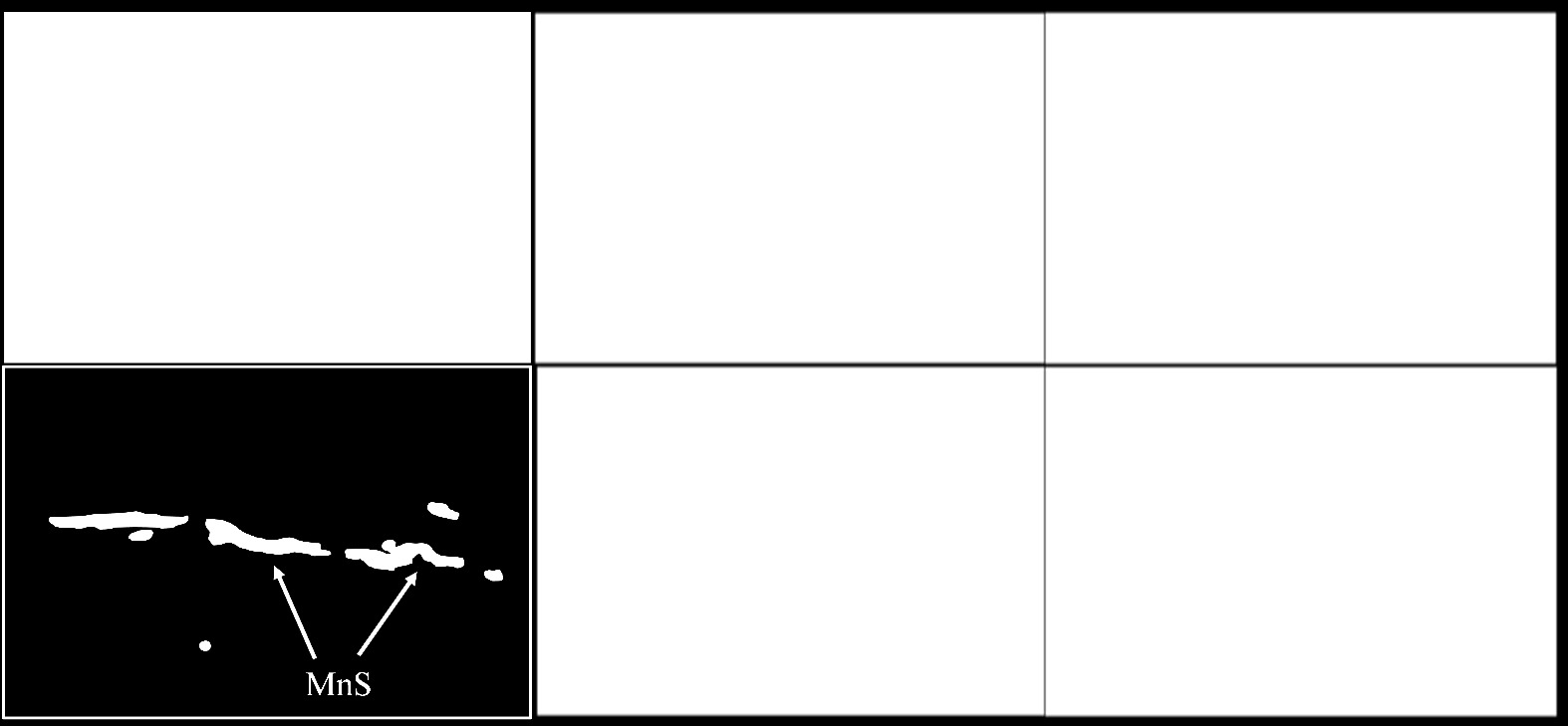 Effect of gadolinium on the anisotropic tensile properties of a forged high sulfur steel through in-situ tensile experiment