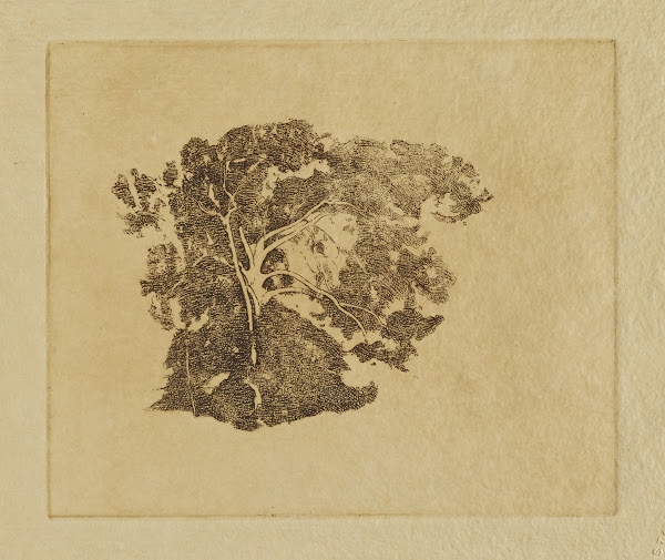 Tree Study