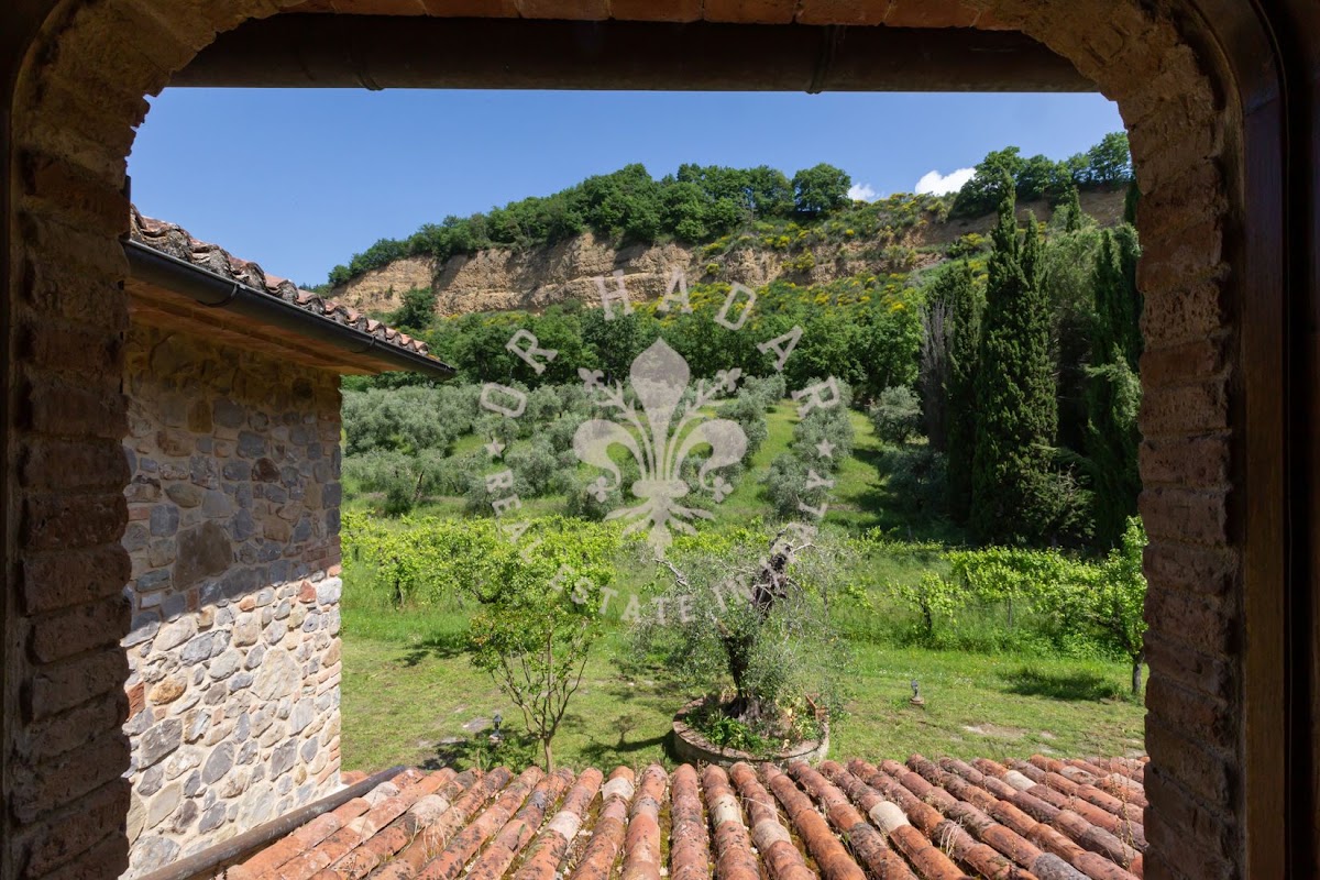 הבית מאחורי הגבעה (Il Casale dietro la Collina) — 39