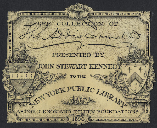New York Public Library 1896