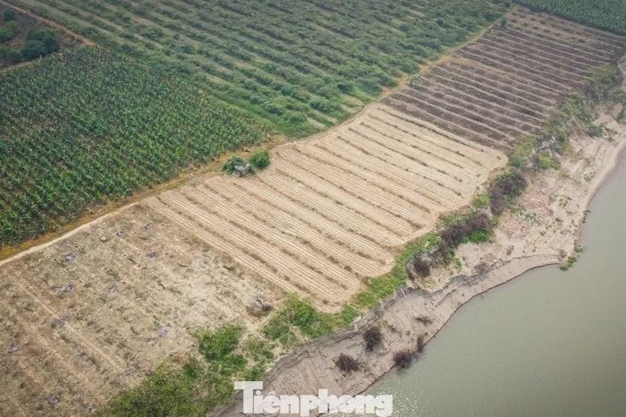 Cận cảnh mỏ cát ở Hà Nội cung ứng vật liệu xây dựng dự án sân bay Gia Bình - Báo Tiền Phong