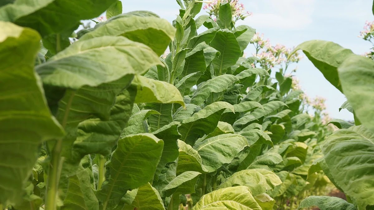에너지바우처 신청 방법과 대상별 지원금 활용법