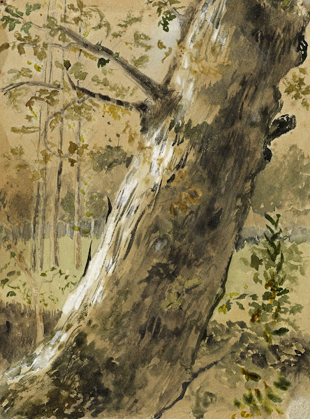 Etude de paysage en Vendée La Roche sur Yon Tronc darbre 1915 1945