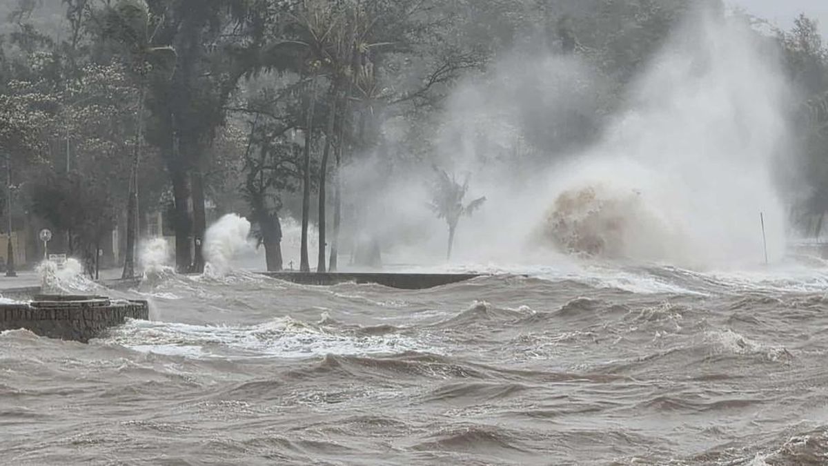 El Nino đạt đỉnh cuối năm, bão có thể diễn biến dị thường, khó đoán - Báo VietnamNet
