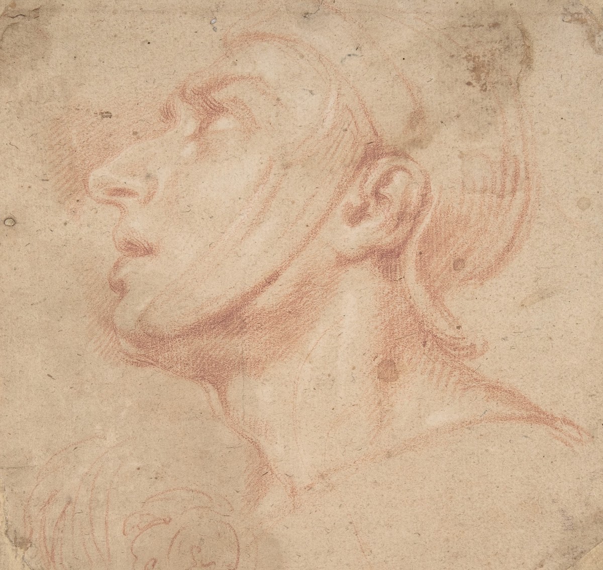 Head of a Man Wearing a Helmet Looking to Upper Left 162390