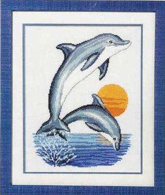 CMP VER70646 Dolphins