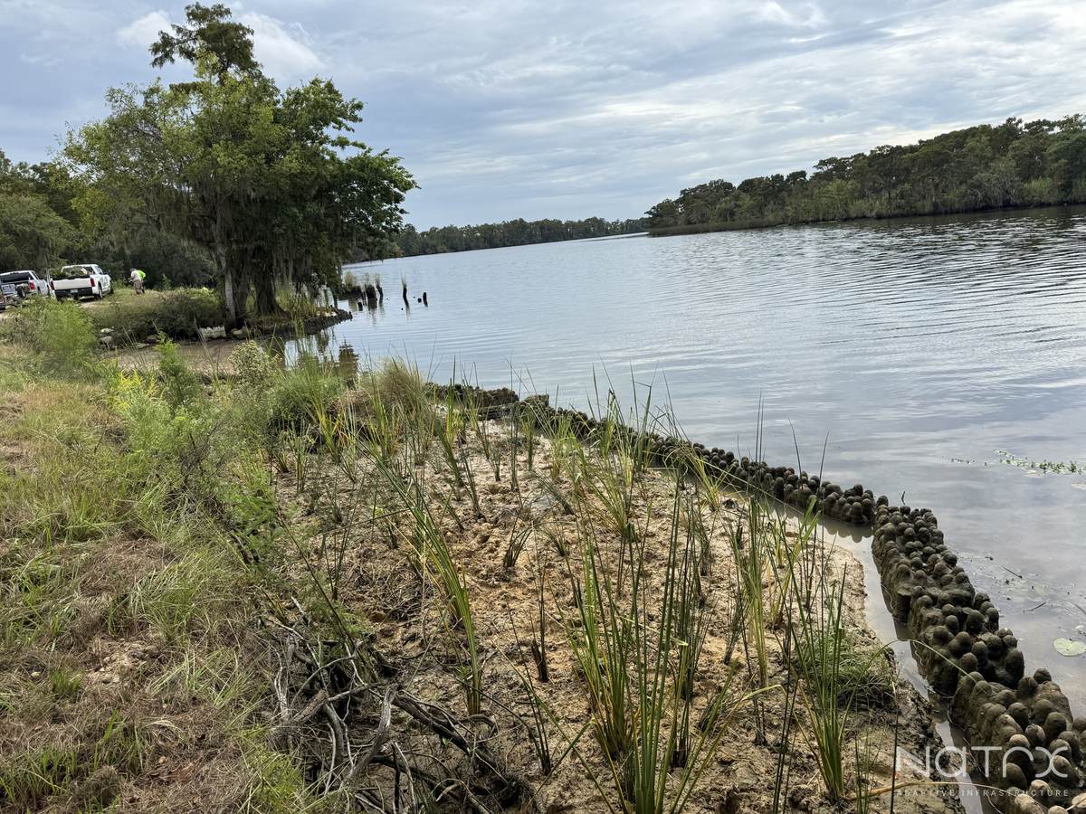 Planting Day September 25, 2025