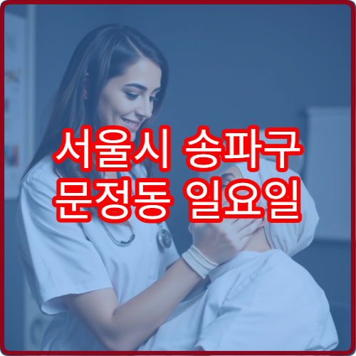 서울시 송파구 문정동 일요일 내과 진료 병원 감기 장염