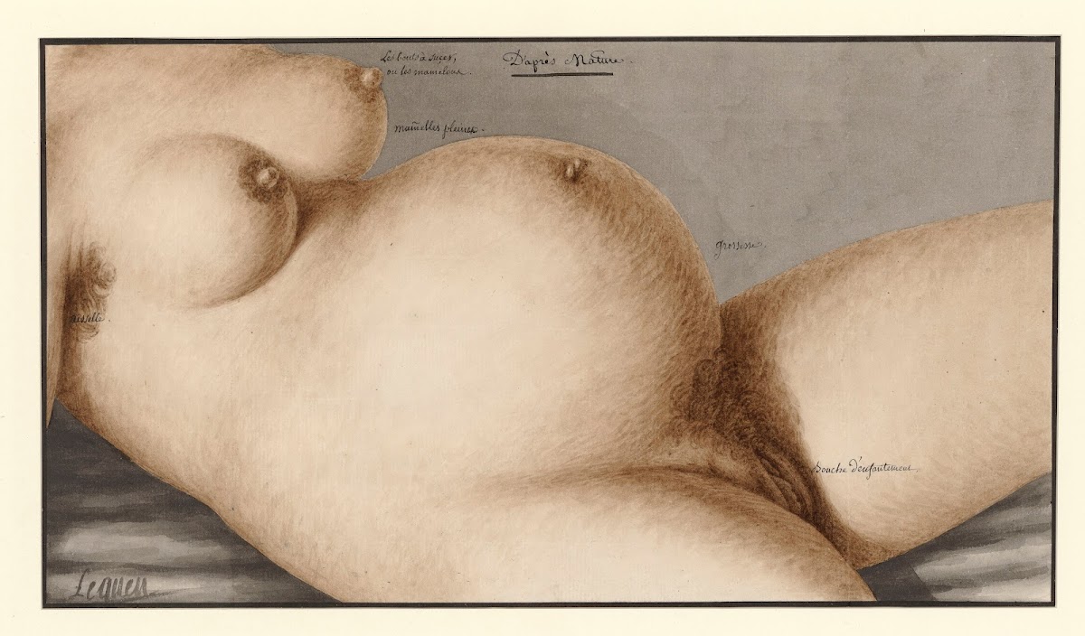Daprès nature femme enceinte