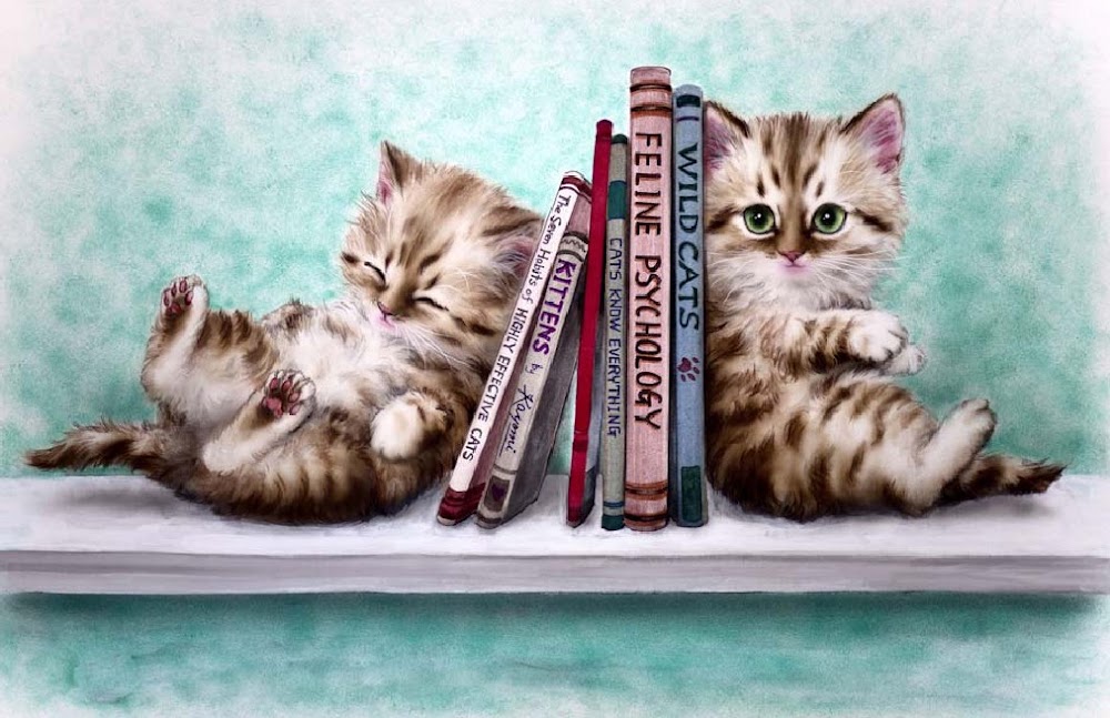 HAE DW170 Book End Kitties