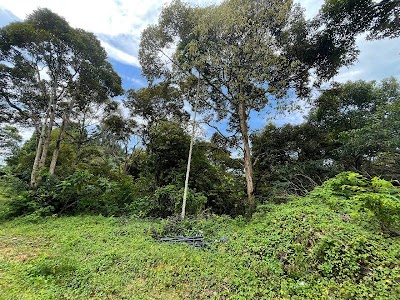 Tanah Pertanian Bukit Cherakah 3.18 ekar — foto 5/6