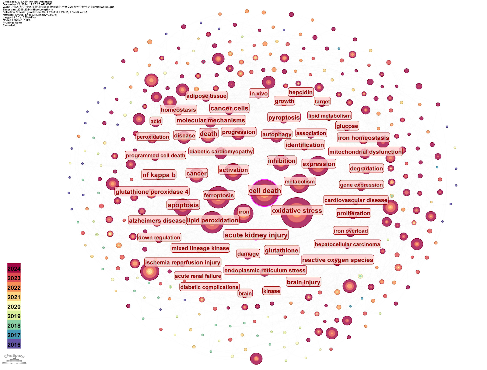 Diabetes mellitus and ferroptosis: a visual analysis of related research literature