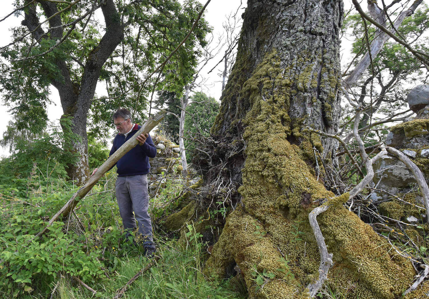 Glenconvinth_04_Andrew_shifting_branch.jpg