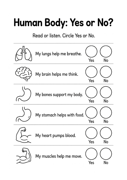 Human Body: Yes or No?