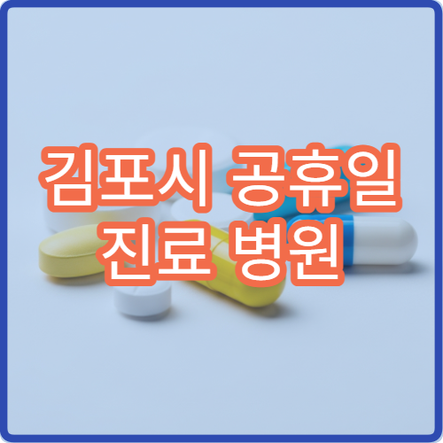 김포시 공휴일 진료 병원 어디? 당직병원 접수 마감 시간 및 진료과목 안내
