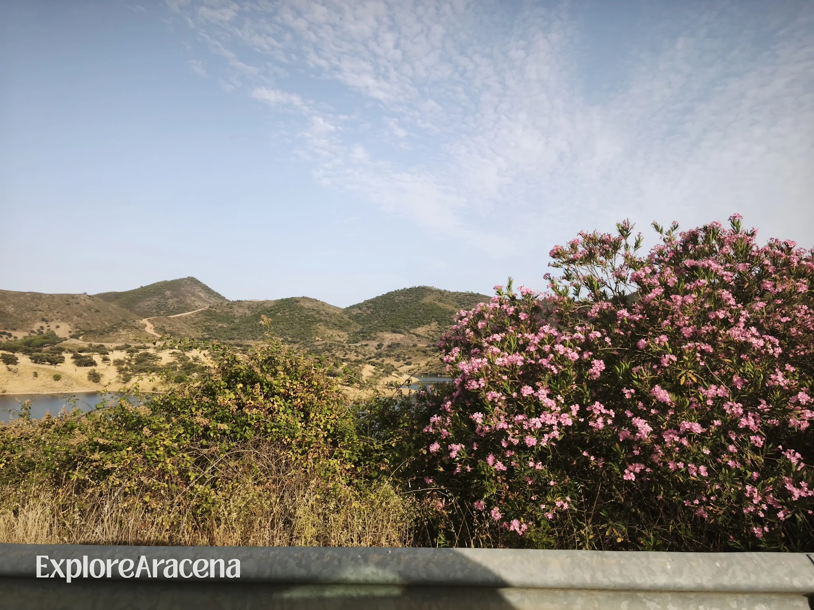 Roadside barrier beside pink flowering shrubs, with a reservoir and the hills of the Sierra de Aracena in the distance.
