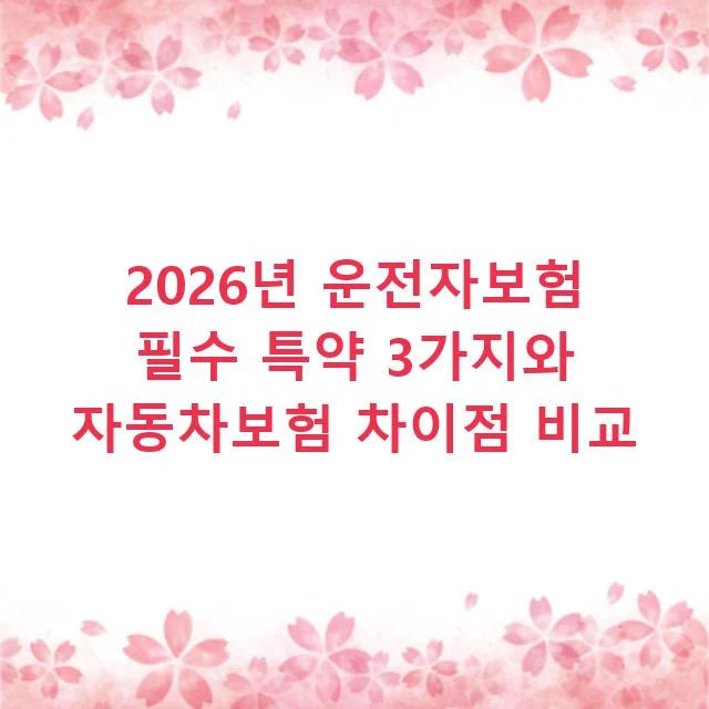 2026년 운전자보험 필수 특약 3가지와 자동차보험 차이점 비교