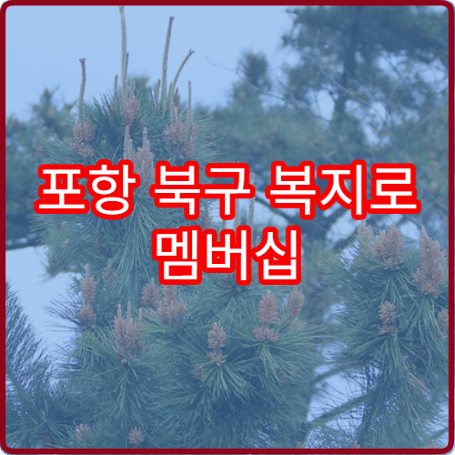 포항 북구 복지로 멤버십 60대 2026 신규 혜택