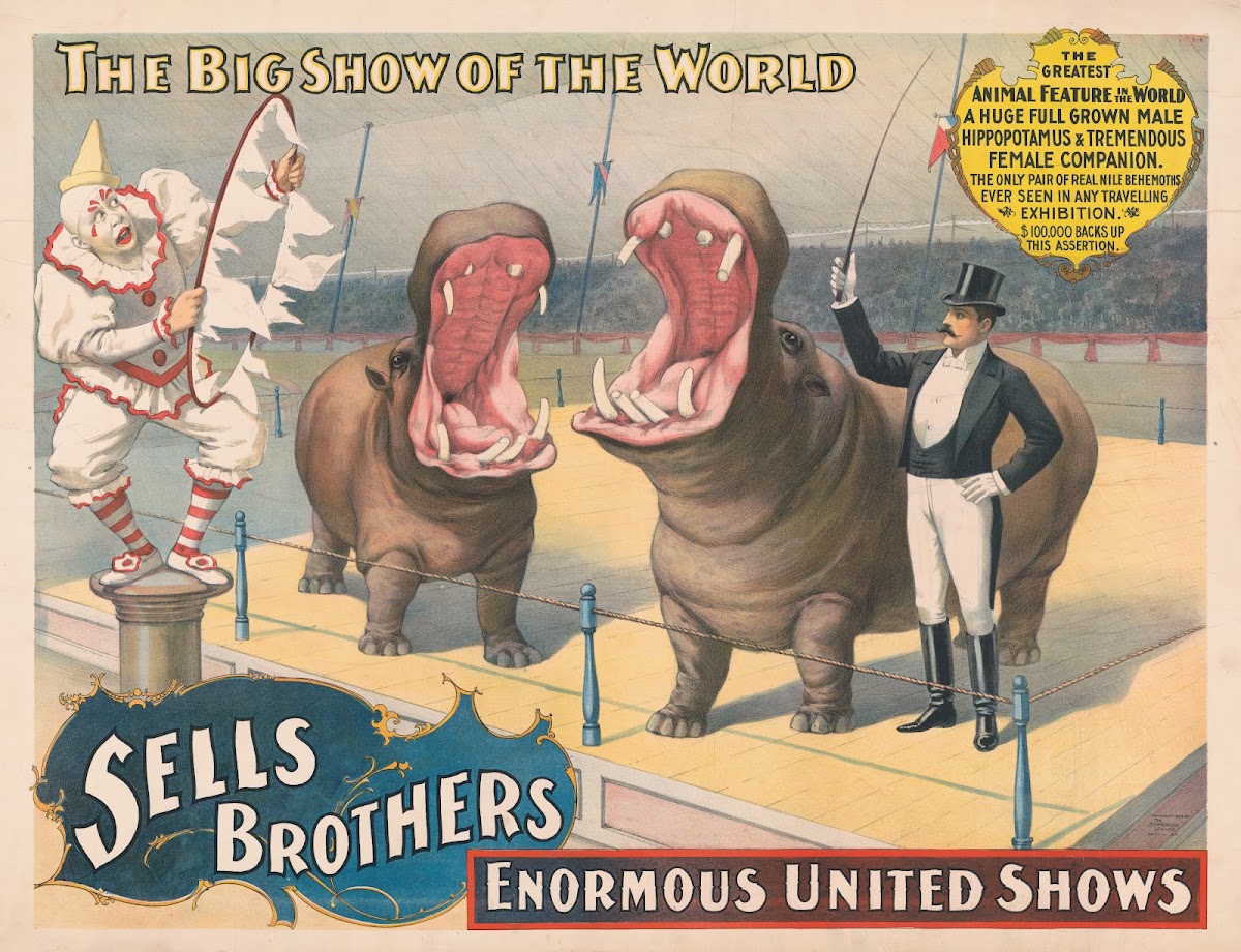 Sells Brothers enormous united shows The greatest animal feature  Hippopotamus a