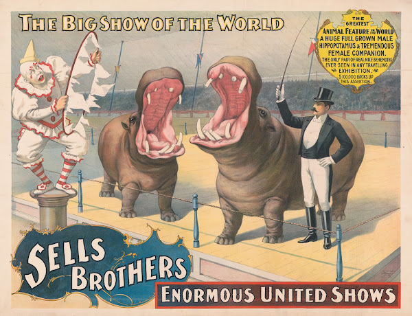 Sells Brothers enormous united shows The greatest animal feature  Hippopotamus a