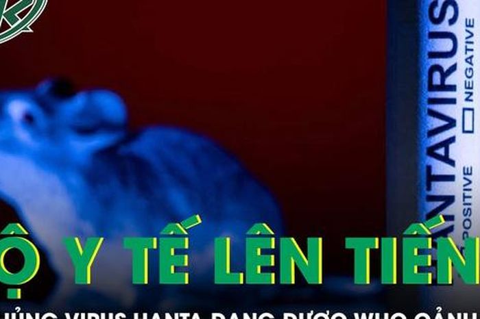 Bộ Y tế thông tin về chủng virus Hanta đang được WHO cảnh báo - Báo Sức Khỏe &amp; Đời Sống