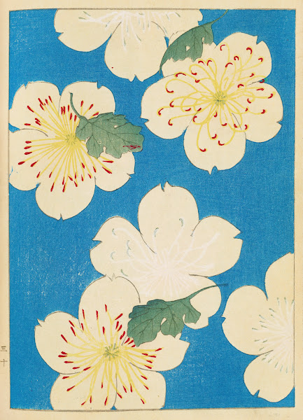 Shin Bijutsukai Pl082 1901 1902