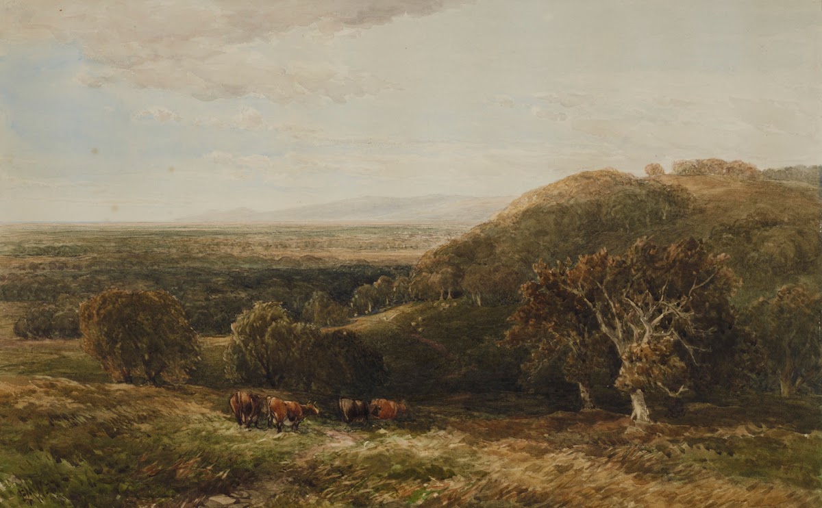 Near Richmond Yorkshire 1877