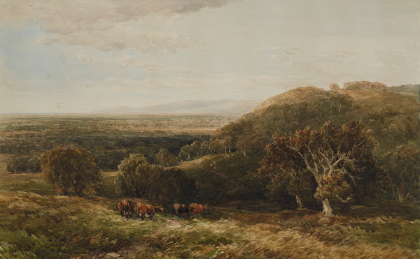 Near Richmond Yorkshire 1877